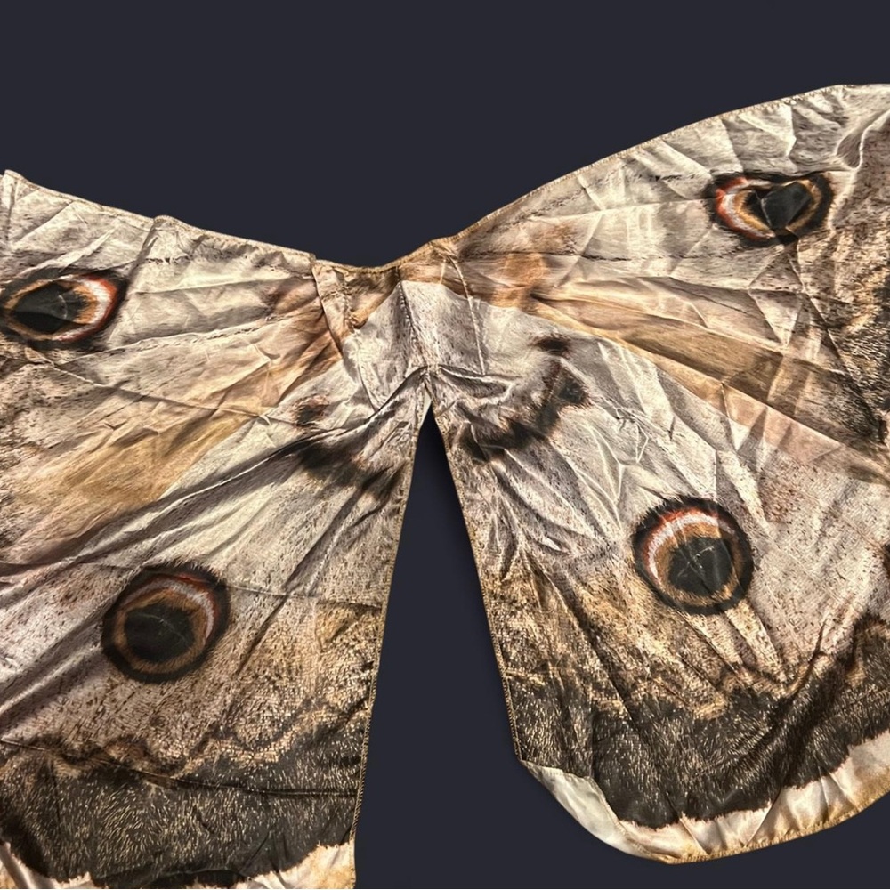 Butterfly Wings SOLD